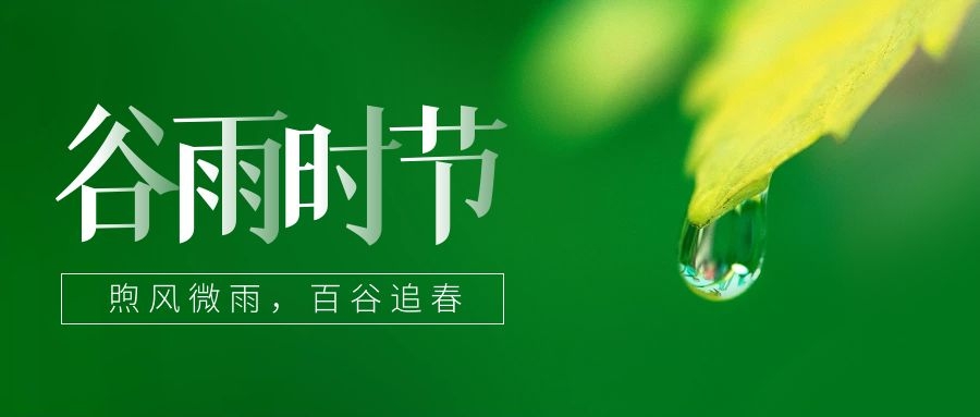 谷雨 ▎雨生百谷，鎖住一抹春色