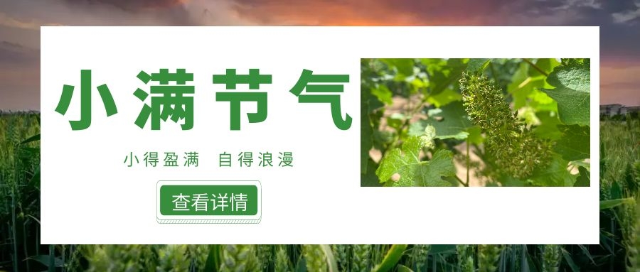 小滿 ▎小得盈滿，自得浪漫~